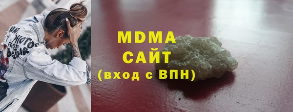 PSILOCYBIN Алзамай