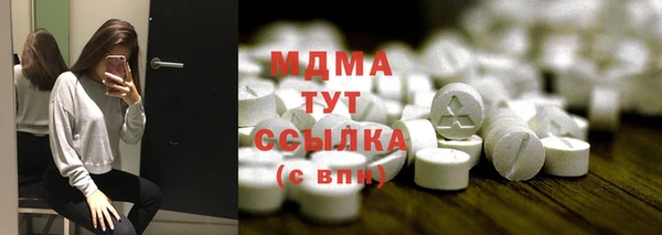 PSILOCYBIN Алзамай