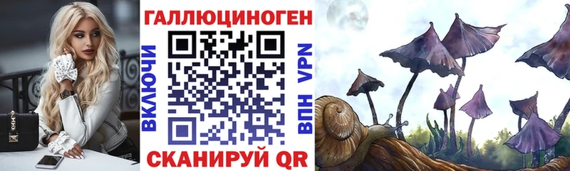 Псилоцибиновые грибы Psilocybe  купить наркотик  Сургут 